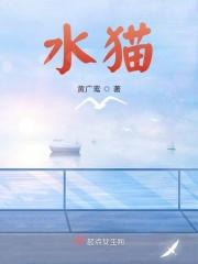 水塔猫