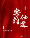 崛起寒门仕途