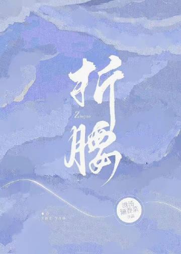 媵妾宝姨娘上位记